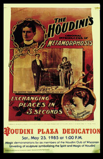 Houdini's Metamorphosis Poster Reproduction