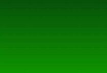 Silk 9 inch Green