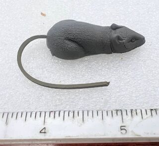 Wonder_Mouse.Black..jpeg